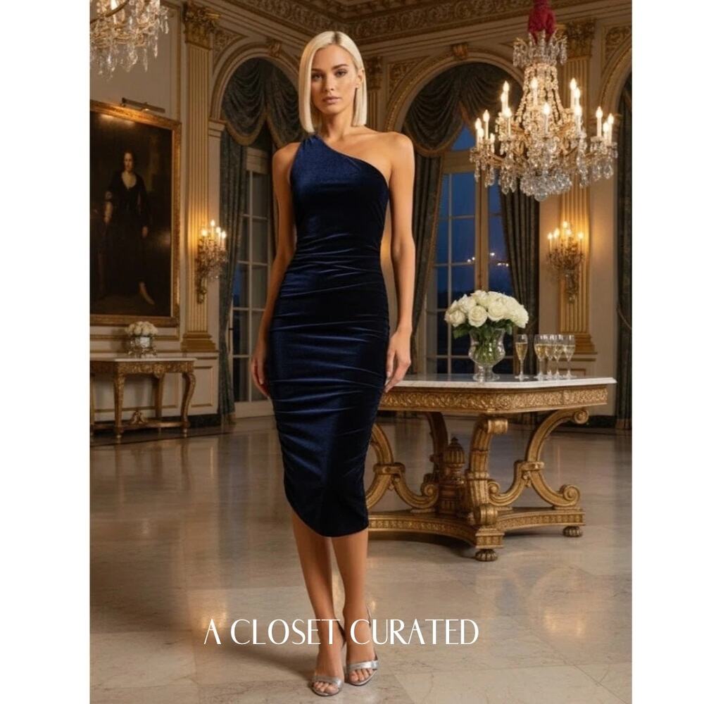 Alix NYC Dress Large